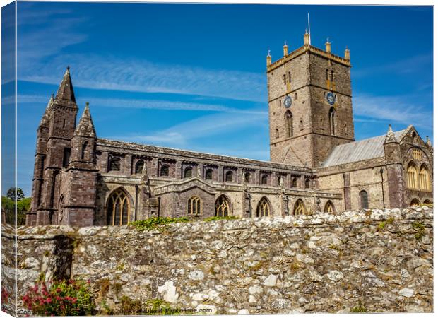 St Davids Cathedral, St Davids, South Wales Canvas Print by Chris Yaxley