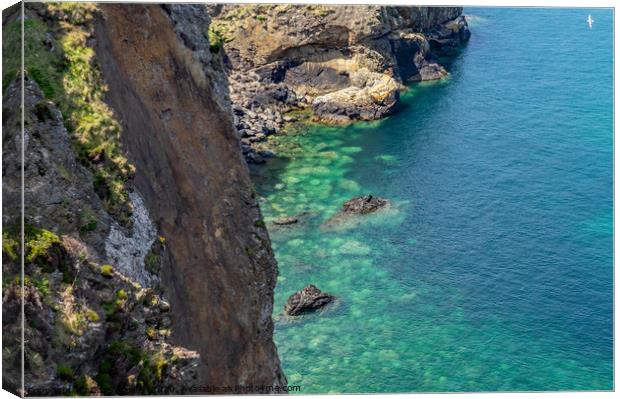 The view down to the sea on Ramsey Island, Wales Canvas Print by Chris Yaxley