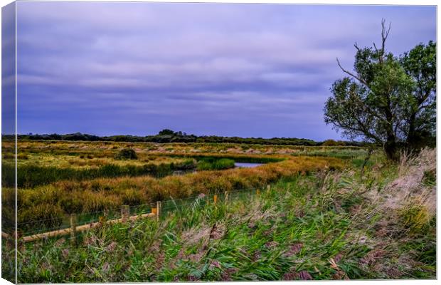 South Walsham marshes, Norfolk Canvas Print by Chris Yaxley