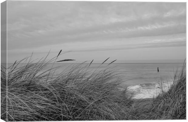 In the sand dunes on the North Norfolk coast bw Canvas Print by Chris Yaxley