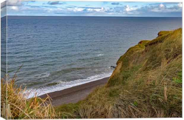 Sheringham cliff top Canvas Print by Chris Yaxley