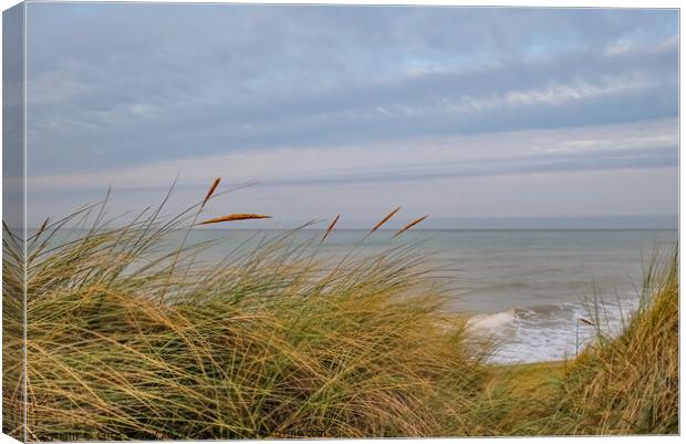 North Norfolk coast from the sand dunes Canvas Print by Chris Yaxley
