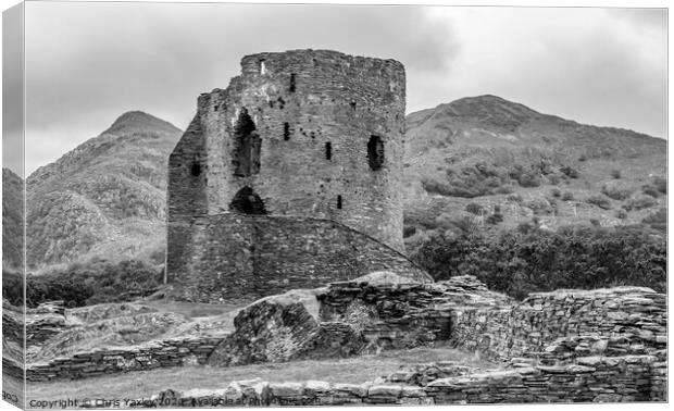 Dolbadarn Castle, Llanberis, North Wales Canvas Print by Chris Yaxley