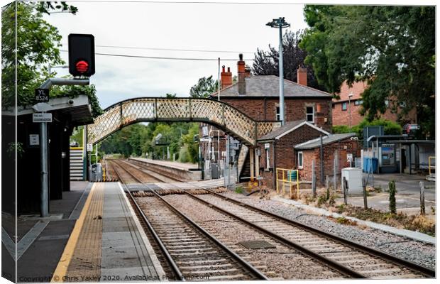 A View from the railway station at Brundall Gardens Canvas Print by Chris Yaxley