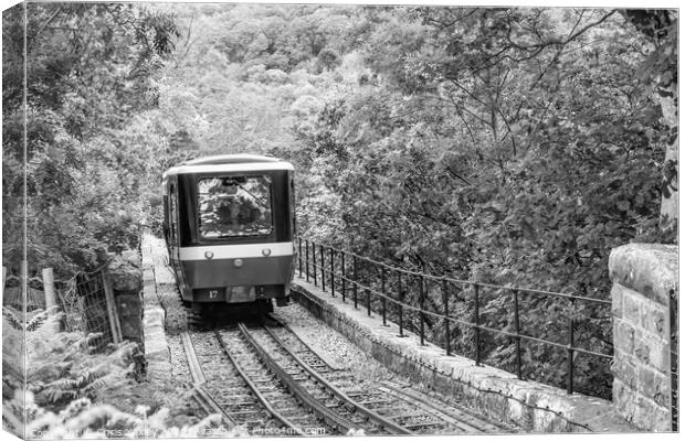 Diesel train on Mount Snowdon Railway, Llanberis, North Wales Canvas Print by Chris Yaxley