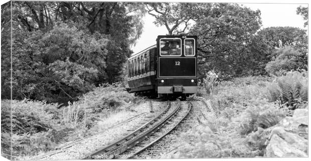 Mount Snowdon Railway, Llanberis, North Wales. A diesel train ca Canvas Print by Chris Yaxley