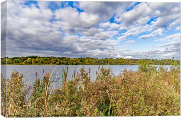 Whitlingham Broad, Norwich, Norfolk Canvas Print by Chris Yaxley