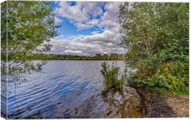 Whitlingham Broad Canvas Print by Chris Yaxley
