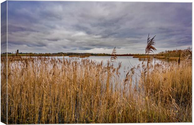 A winters day on the Norfolk Broads Canvas Print by Chris Yaxley