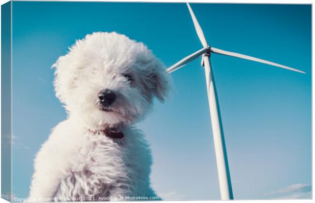 White dog and wind turbine for a clean concept Canvas Print by Laurent Renault