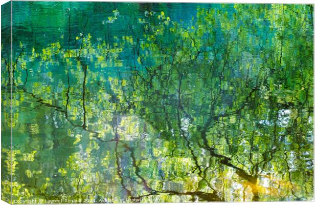 Reflection of tree branches in water Canvas Print by Laurent Renault