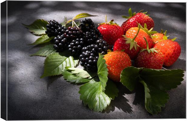 Still life strawberries and blackberries over dark background Canvas Print by Laurent Renault