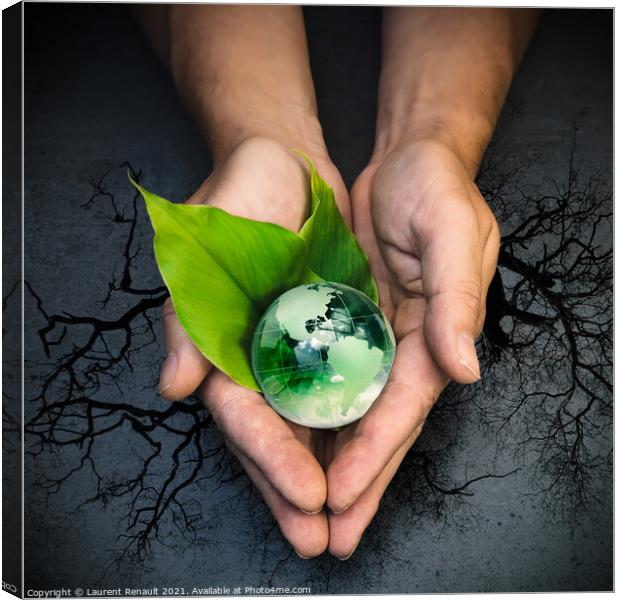 Human hands holding a green globe of planet Earth on green leave Canvas Print by Laurent Renault
