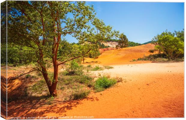 Sunlit scenes in The Provençal Colorado (The ochre rocks of le  Canvas Print by Laurent Renault