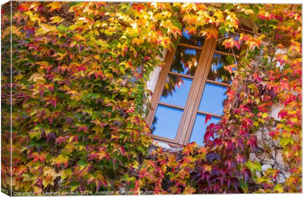 Window surrounded by ivy with autumn facade Canvas Print by Laurent Renault