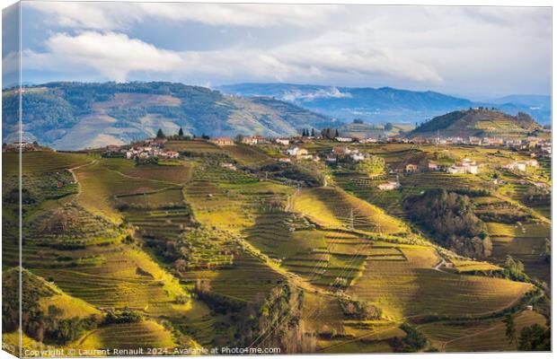 View of the Douro valley with the vineyards of the terraced fiel Canvas Print by Laurent Renault