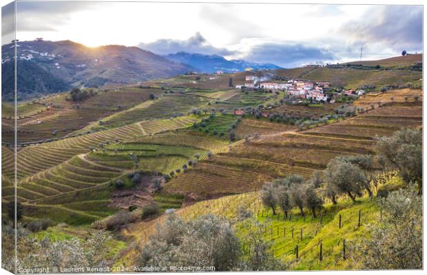 View of the Douro valley with the terraced vineyards and olive t Canvas Print by Laurent Renault