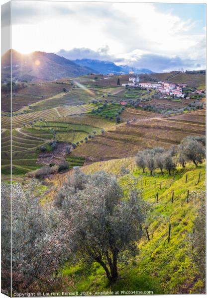 Vertical view of the Douro valley with the terraced vineyards an Canvas Print by Laurent Renault