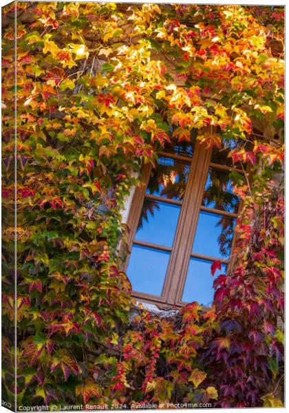 Window surrounded by the ivy with autumn facade Canvas Print by Laurent Renault