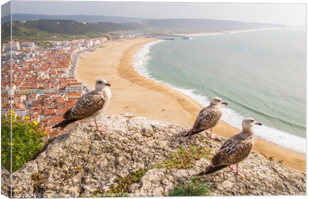 Aerial view of  Nazaré town observed by yellow-legged gulls in  Canvas Print by Laurent Renault