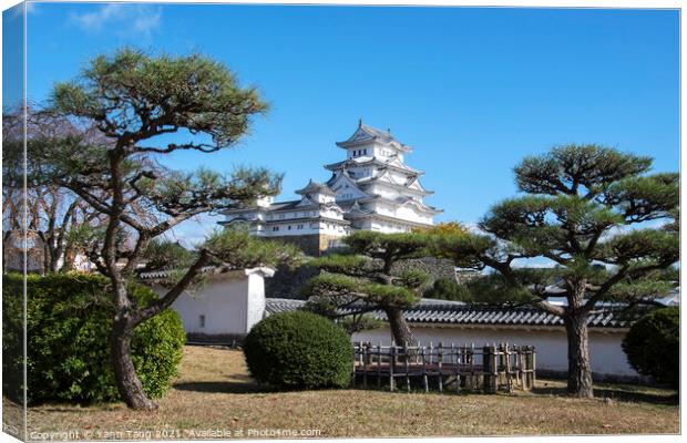 Landscape view of the main tower of Himeji Castle on the hillsid Canvas Print by Yann Tang