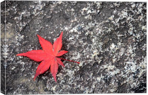 Japanese fallen red maple leaves on stone surface Canvas Print by Yann Tang