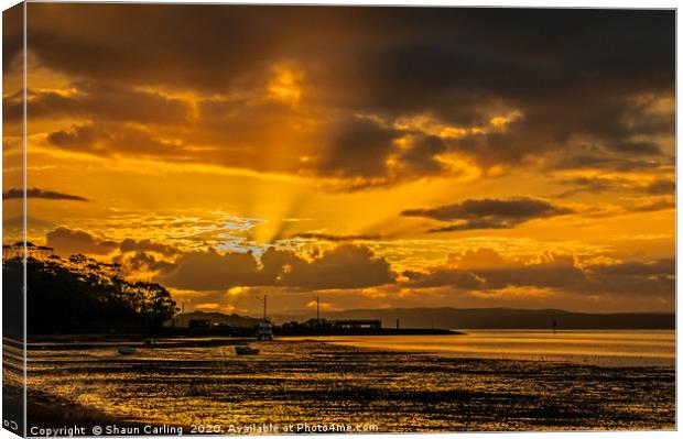 Australian Sunrise At Victoria Point. Canvas Print by Shaun Carling