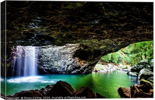 Natural Bridge, Springbrook National Park Canvas Print by Shaun Carling