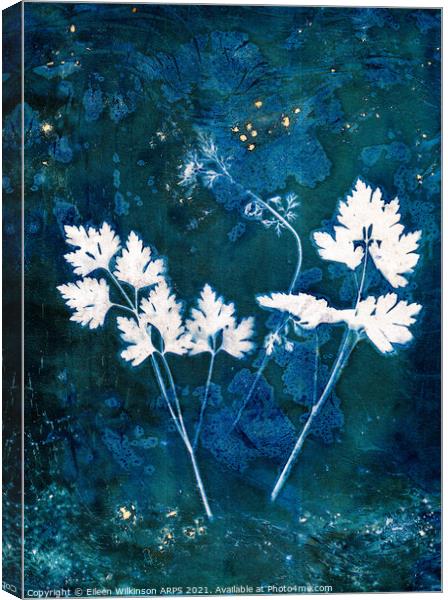 Parsley Leaves Canvas Print by Eileen Wilkinson ARPS EFIAP