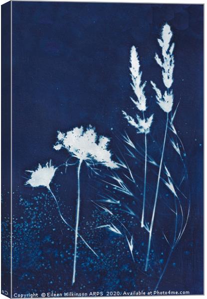 Blue grasses Canvas Print by Eileen Wilkinson ARPS EFIAP
