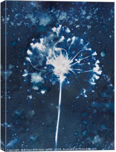 Blue Seedhead Canvas Print by Eileen Wilkinson ARPS EFIAP