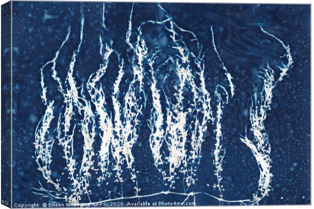 Blue seaweed Canvas Print by Eileen Wilkinson ARPS EFIAP
