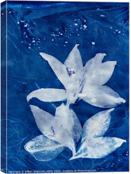 Blue Day Lillies Canvas Print by Eileen Wilkinson ARPS EFIAP