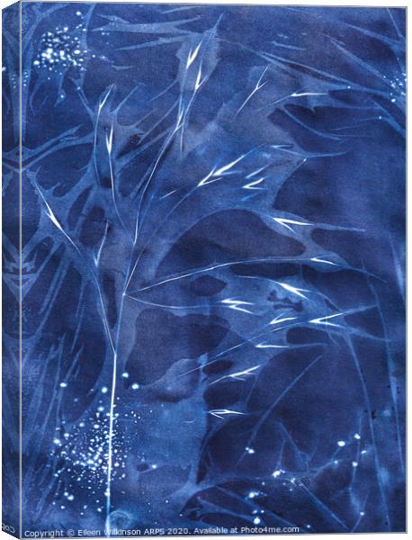 Midnight Blue  Canvas Print by Eileen Wilkinson ARPS EFIAP