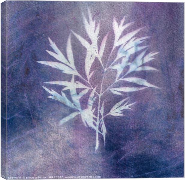 Leafy sun print Canvas Print by Eileen Wilkinson ARPS EFIAP