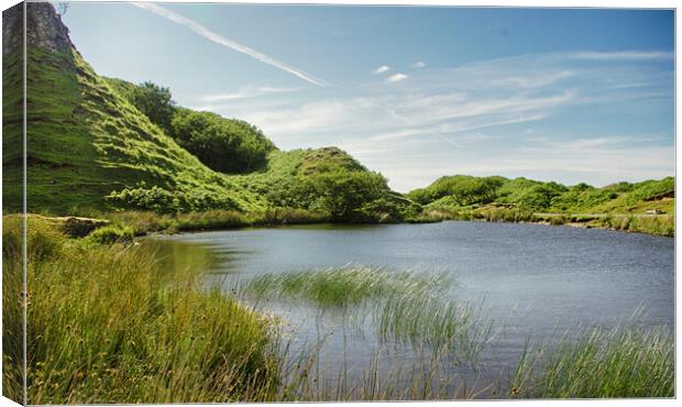 Fairy Glen Uig Canvas Print by Eileen Wilkinson ARPS EFIAP