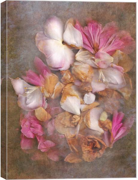 Fallen Petals Canvas Print by Eileen Wilkinson ARPS EFIAP