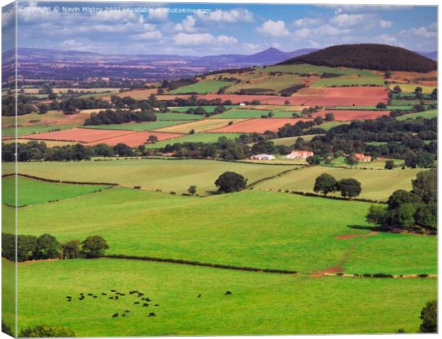 North Yorkshire Countryside, England Canvas Print by Navin Mistry