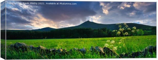 A panoramic image of Bennachie, Aberdeenshire Canvas Print by Navin Mistry
