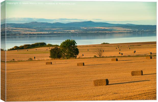 Autumn Haybales and the River Tay, near Newburgh, Fife Canvas Print by Navin Mistry