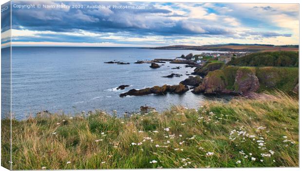 A view from the rugged cliffs of the North Sea Canvas Print by Navin Mistry