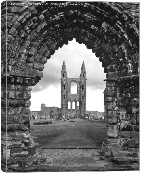 St Andrews Cathedral  Canvas Print by Navin Mistry