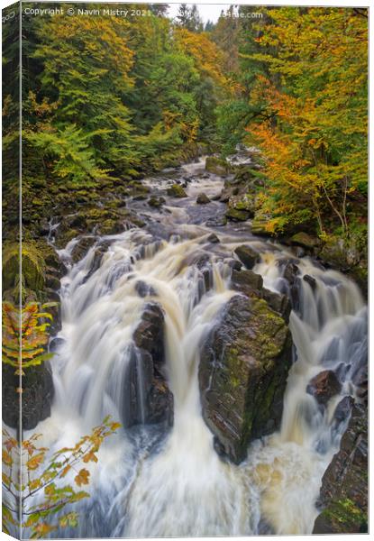 Autumn and The Black Linn Falls at The Hermitage  Canvas Print by Navin Mistry