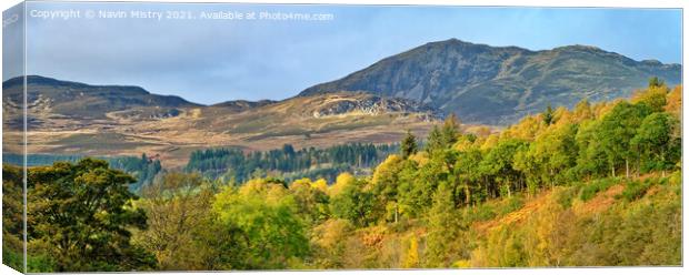 A view of Ben Vrackie in the Autumn Canvas Print by Navin Mistry