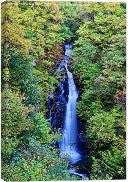 The Black Spout Waterfall, Pitlochry, Perthshire Canvas Print by Navin Mistry