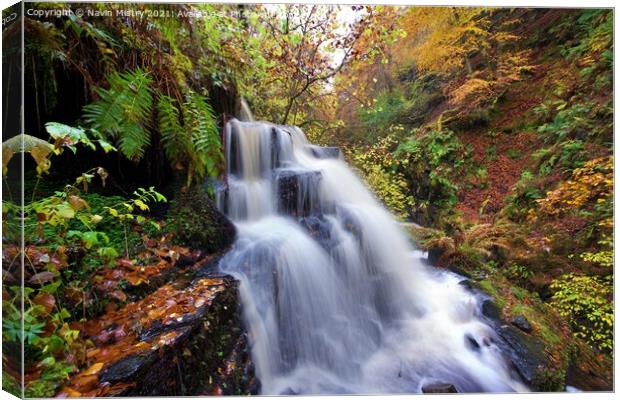 A Waterfall in the Birks of Aberfeldy Canvas Print by Navin Mistry