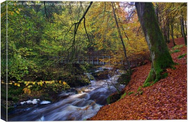 Footbridge over the Moness Burn, Birks of Aberfeldy Canvas Print by Navin Mistry