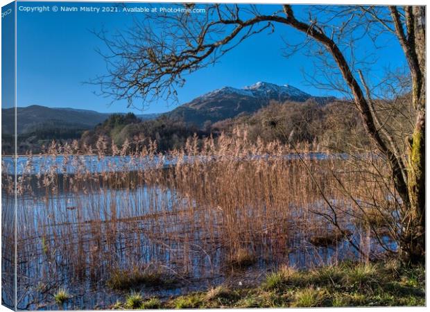 Ben Venue seen from Loch Achray   Canvas Print by Navin Mistry