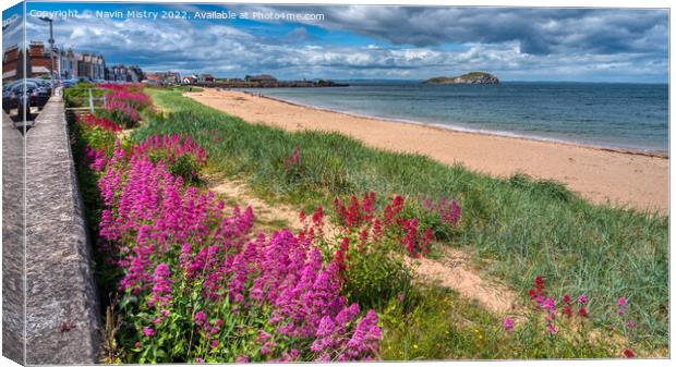 Wild flowers and beach at Milsey Bay, North Berwick Canvas Print by Navin Mistry