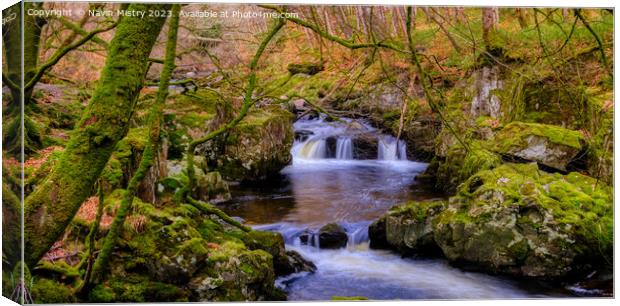 The River Lednock, Comrie, Perthshire Canvas Print by Navin Mistry